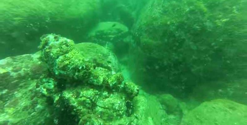 Újkőkori helység maradványaira bukkantak horvát búvárok az Adriai-tengerben