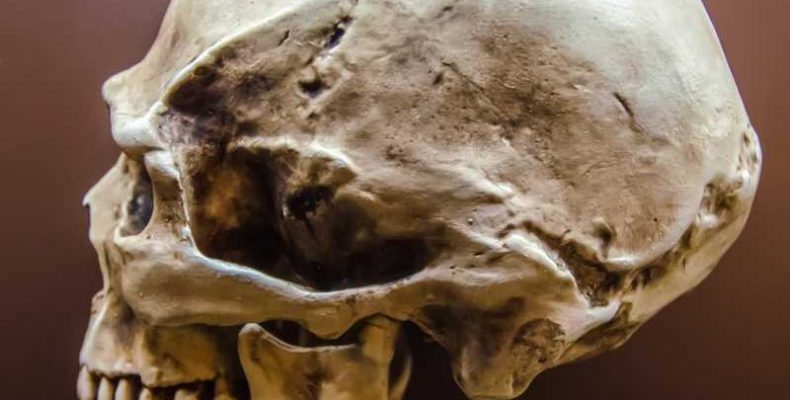A Homo bodoensis nevet kapta a korszerű ember 500 ezer éve élt közvetlen elődje